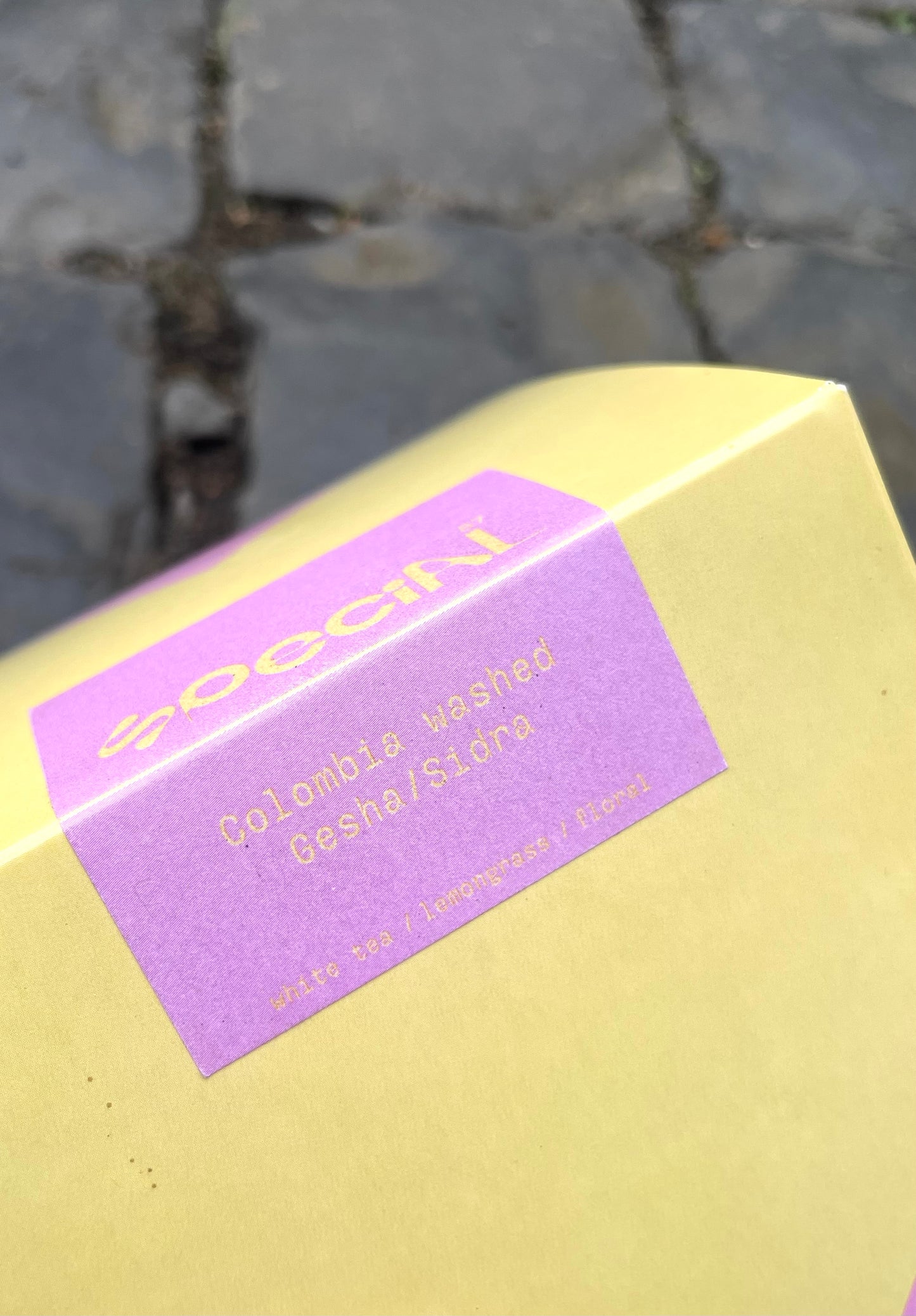 V17 Colombia / Gesha