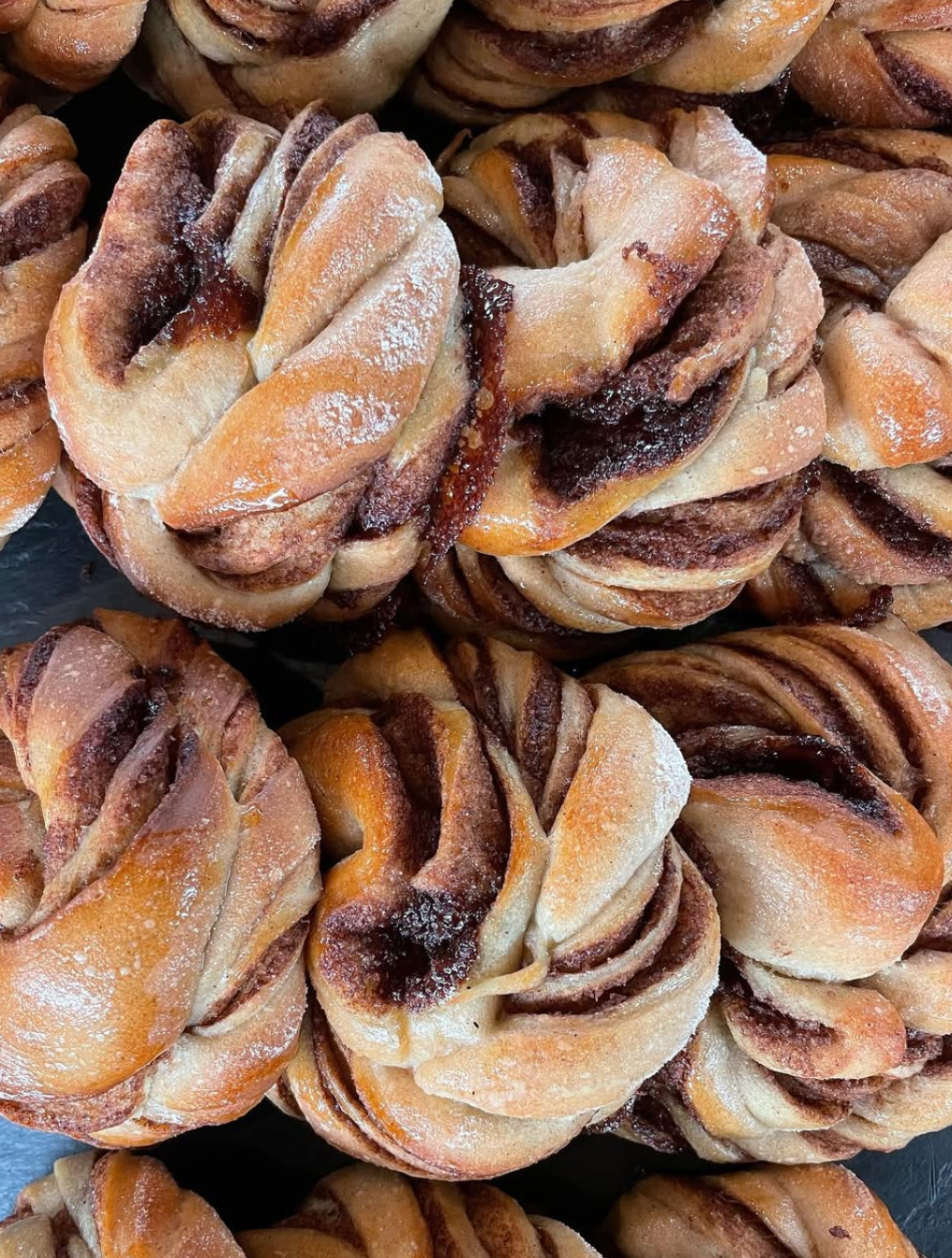 V17 Zimtschnecke - vegan - B2B