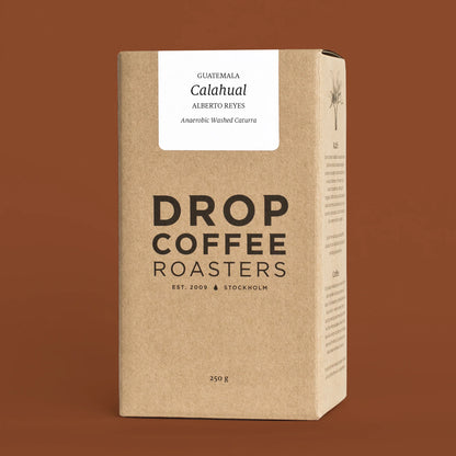 Drop Guatemala