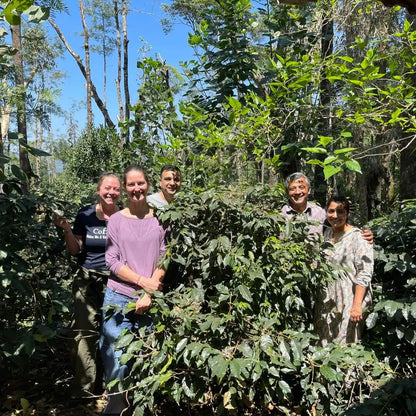 INDUSTRA India Natural