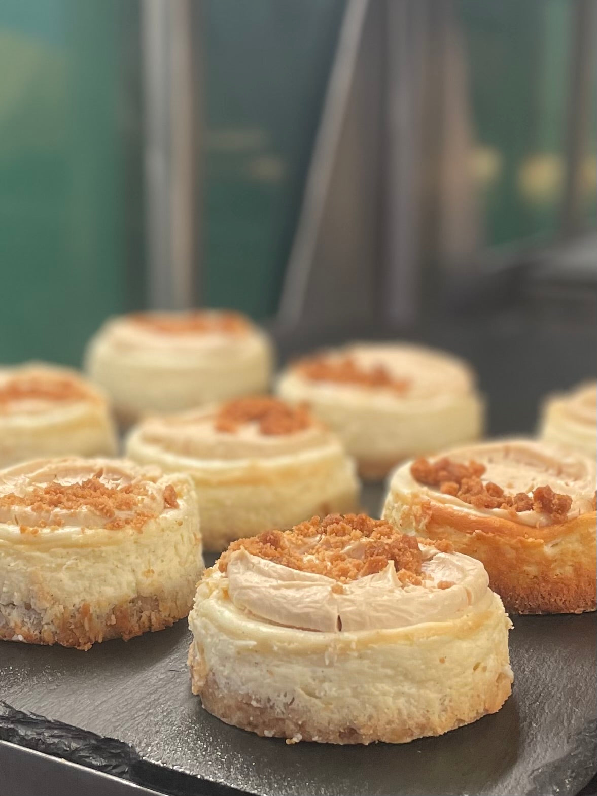 V17 Cheesecake - B2B