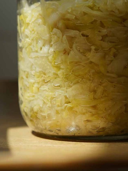 Fermentations Workshop mit Lennart Wiese